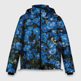 Мужская зимняя куртка 3D с принтом Поле синих цветов фиалки лето в Екатеринбурге, верх — 100% полиэстер; подкладка — 100% полиэстер; утеплитель — 100% полиэстер | длина ниже бедра, свободный силуэт Оверсайз. Есть воротник-стойка, отстегивающийся капюшон и ветрозащитная планка. 

Боковые карманы с листочкой на кнопках и внутренний карман на молнии. | голубые цветочки | лето | луг | незабудки | поле | поляна | синие цветы | узор из цветов | фиалки | фото реализм | цветы