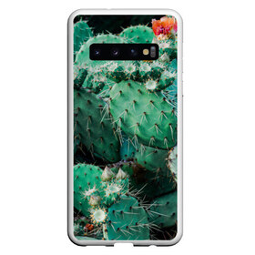 Чехол для Samsung Galaxy S10 с принтом кактусы с цветами реализм в Екатеринбурге, Силикон | Область печати: задняя сторона чехла, без боковых панелей | бутоны | иголки | кактус | кактусы | комнатные растения | лето | реализм | суккуленты | тропики | узор | цветки | цветы | экзотика