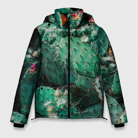 Мужская зимняя куртка 3D с принтом кактусы с цветами реализм в Екатеринбурге, верх — 100% полиэстер; подкладка — 100% полиэстер; утеплитель — 100% полиэстер | длина ниже бедра, свободный силуэт Оверсайз. Есть воротник-стойка, отстегивающийся капюшон и ветрозащитная планка. 

Боковые карманы с листочкой на кнопках и внутренний карман на молнии. | бутоны | иголки | кактус | кактусы | комнатные растения | лето | реализм | суккуленты | тропики | узор | цветки | цветы | экзотика