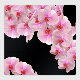 Магнитный плакат 3Х3 с принтом Орхидеи в ночи в Екатеринбурге, Полимерный материал с магнитным слоем | 9 деталей размером 9*9 см | Тематика изображения на принте: азия | бабочки | бутоны | ветки | девушкам | джунгли | женщинам | лепестки | летний | лето | листья | любовь | март | орхидеи | орхидея | подарок | природа | растения | розовыецветы | сад | тропика