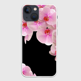 Чехол для iPhone 13 mini с принтом Орхидеи в ночи в Екатеринбурге,  |  | азия | бабочки | бутоны | ветки | девушкам | джунгли | женщинам | лепестки | летний | лето | листья | любовь | март | орхидеи | орхидея | подарок | природа | растения | розовыецветы | сад | тропика