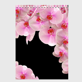 Скетчбук с принтом Орхидеи в ночи в Екатеринбурге, 100% бумага
 | 48 листов, плотность листов — 100 г/м2, плотность картонной обложки — 250 г/м2. Листы скреплены сверху удобной пружинной спиралью | азия | бабочки | бутоны | ветки | девушкам | джунгли | женщинам | лепестки | летний | лето | листья | любовь | март | орхидеи | орхидея | подарок | природа | растения | розовыецветы | сад | тропика