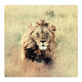 Магнитный плакат 3Х3 с принтом Lion King в Екатеринбурге, Полимерный материал с магнитным слоем | 9 деталей размером 9*9 см | animals | king | lion | африка | взгляд | голова | грива | дикие | животные | зверек | зверь | зодиак | клыки | король | кот | кошак | кошка | лапы | лев | лео | львенок | оскал | природа | саванна | симба | созвездие