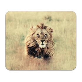 Коврик для мышки прямоугольный с принтом Lion King в Екатеринбурге, натуральный каучук | размер 230 х 185 мм; запечатка лицевой стороны | animals | king | lion | африка | взгляд | голова | грива | дикие | животные | зверек | зверь | зодиак | клыки | король | кот | кошак | кошка | лапы | лев | лео | львенок | оскал | природа | саванна | симба | созвездие