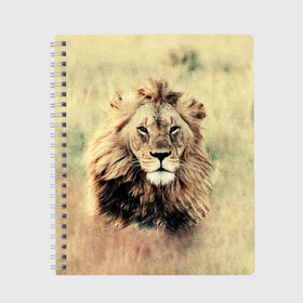 Тетрадь с принтом Lion King в Екатеринбурге, 100% бумага | 48 листов, плотность листов — 60 г/м2, плотность картонной обложки — 250 г/м2. Листы скреплены сбоку удобной пружинной спиралью. Уголки страниц и обложки скругленные. Цвет линий — светло-серый
 | Тематика изображения на принте: animals | king | lion | африка | взгляд | голова | грива | дикие | животные | зверек | зверь | зодиак | клыки | король | кот | кошак | кошка | лапы | лев | лео | львенок | оскал | природа | саванна | симба | созвездие