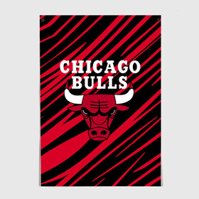 Постер с принтом Chicago Bulls. в Екатеринбурге, 100% бумага
 | бумага, плотность 150 мг. Матовая, но за счет высокого коэффициента гладкости имеет небольшой блеск и дает на свету блики, но в отличии от глянцевой бумаги не покрыта лаком | 23 | air jordan | bulls | chicago bulls | jordan | michael jordan | nba | paris saint germain | psg | red | sport | быки | джордан | майкл джордан | псж | спорт | чикаго буллс