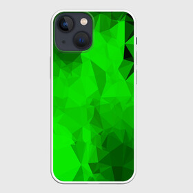 Чехол для iPhone 13 mini с принтом GREEN в Екатеринбурге,  |  | abstract | abstraction | color | fractal | geometry | paitnt | polygon | polygonal | psy | абстракция | геометрия | краски | неоновые | полигоны | психоделика | фрактал