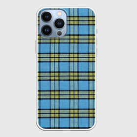 Чехол для iPhone 13 Pro Max с принтом Модный Фагот в Екатеринбурге,  |  | вклетку | геометрия | голубаяклетка | детские | квадраты | клетка | клетчатый | линии | подростковые | полосы | ретро | решетка | рубашка | сетка | синийузор | текстура | ткань | тренер | узоры | форма