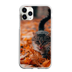 Чехол для iPhone 11 Pro Max матовый с принтом мяукающий кот осенние листья в Екатеринбурге, Силикон |  | золотая осень | кот | кошка | крик | листва | листья | мяу | мяукает | осень | сезон | уличный котейка