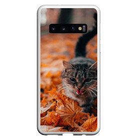Чехол для Samsung Galaxy S10 с принтом мяукающий кот осенние листья в Екатеринбурге, Силикон | Область печати: задняя сторона чехла, без боковых панелей | золотая осень | кот | кошка | крик | листва | листья | мяу | мяукает | осень | сезон | уличный котейка