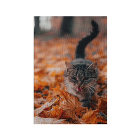 Обложка для паспорта матовая кожа с принтом мяукающий кот осенние листья в Екатеринбурге, натуральная матовая кожа | размер 19,3 х 13,7 см; прозрачные пластиковые крепления | золотая осень | кот | кошка | крик | листва | листья | мяу | мяукает | осень | сезон | уличный котейка