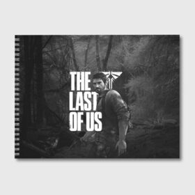 Альбом для рисования с принтом THE LAST OF US в Екатеринбурге, 100% бумага
 | матовая бумага, плотность 200 мг. | cicadas | fireflies | naughty dog | the last of us | the last of us part 2 | джоэл | последние из нас | цикады | элли