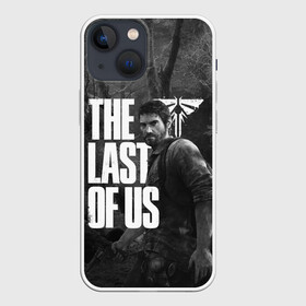 Чехол для iPhone 13 mini с принтом THE LAST OF US в Екатеринбурге,  |  | cicadas | fireflies | naughty dog | the last of us | the last of us part 2 | джоэл | последние из нас | цикады | элли