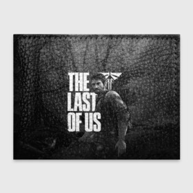 Обложка для студенческого билета с принтом THE LAST OF US в Екатеринбурге, натуральная кожа | Размер: 11*8 см; Печать на всей внешней стороне | Тематика изображения на принте: cicadas | fireflies | naughty dog | the last of us | the last of us part 2 | джоэл | последние из нас | цикады | элли