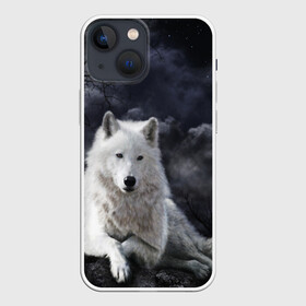 Чехол для iPhone 13 mini с принтом БЕЛЫЙ ВОЛК(D) в Екатеринбурге,  |  | wolf | волк | волки | волчица | животные | одинокий волк