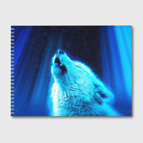Альбом для рисования с принтом ВОЛЧИЙ ВОЙ(D) в Екатеринбурге, 100% бумага
 | матовая бумага, плотность 200 мг. | wolf | волк | волки | волчица | животные | одинокий волк