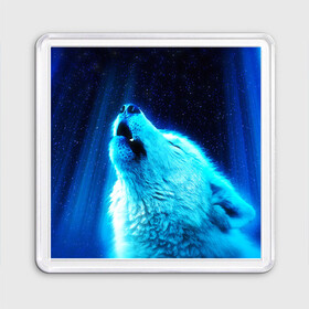 Магнит 55*55 с принтом ВОЛЧИЙ ВОЙ(D) в Екатеринбурге, Пластик | Размер: 65*65 мм; Размер печати: 55*55 мм | wolf | волк | волки | волчица | животные | одинокий волк