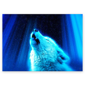 Поздравительная открытка с принтом ВОЛЧИЙ ВОЙ(D) в Екатеринбурге, 100% бумага | плотность бумаги 280 г/м2, матовая, на обратной стороне линовка и место для марки
 | wolf | волк | волки | волчица | животные | одинокий волк