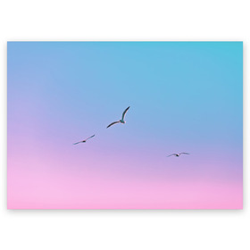 Поздравительная открытка с принтом чайки птицы полет градиент в Екатеринбурге, 100% бумага | плотность бумаги 280 г/м2, матовая, на обратной стороне линовка и место для марки
 | градиент | закат | минимализм | небо | полет | природа | просто | птицы | рассвет | чайки