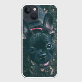 Чехол для iPhone 13 с принтом Бульдог морда собакена черного в Екатеринбурге,  |  | бульдог | гав | глаза | любимец | любителю животных | ошейник | пес | песель | песик | питомец | псина | псинка | собака | собакен | собачка | собачник | уши | черный | язык