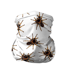 Бандана-труба 3D с принтом В пауках в Екатеринбурге, 100% полиэстер, ткань с особыми свойствами — Activecool | плотность 150‒180 г/м2; хорошо тянется, но сохраняет форму | Тематика изображения на принте: pattern | spider | джунгли | дикие | животные | жуки | звери | лапы | мерзкие | монстр | насекомые | паттерн | паук | пауки | паутина | паучок | птицеед | страшный | существа | тараканы | тарантул | тропики