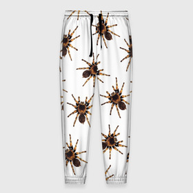 Мужские брюки 3D с принтом В пауках в Екатеринбурге, 100% полиэстер | манжеты по низу, эластичный пояс регулируется шнурком, по бокам два кармана без застежек, внутренняя часть кармана из мелкой сетки | pattern | spider | джунгли | дикие | животные | жуки | звери | лапы | мерзкие | монстр | насекомые | паттерн | паук | пауки | паутина | паучок | птицеед | страшный | существа | тараканы | тарантул | тропики