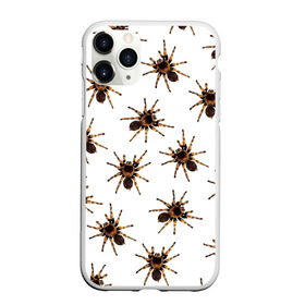 Чехол для iPhone 11 Pro матовый с принтом В пауках в Екатеринбурге, Силикон |  | Тематика изображения на принте: pattern | spider | джунгли | дикие | животные | жуки | звери | лапы | мерзкие | монстр | насекомые | паттерн | паук | пауки | паутина | паучок | птицеед | страшный | существа | тараканы | тарантул | тропики