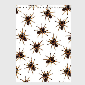Скетчбук с принтом В пауках в Екатеринбурге, 100% бумага
 | 48 листов, плотность листов — 100 г/м2, плотность картонной обложки — 250 г/м2. Листы скреплены сверху удобной пружинной спиралью | pattern | spider | джунгли | дикие | животные | жуки | звери | лапы | мерзкие | монстр | насекомые | паттерн | паук | пауки | паутина | паучок | птицеед | страшный | существа | тараканы | тарантул | тропики