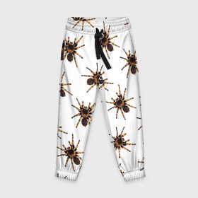 Детские брюки 3D с принтом В пауках в Екатеринбурге, 100% полиэстер | манжеты по низу, эластичный пояс регулируется шнурком, по бокам два кармана без застежек, внутренняя часть кармана из мелкой сетки | pattern | spider | джунгли | дикие | животные | жуки | звери | лапы | мерзкие | монстр | насекомые | паттерн | паук | пауки | паутина | паучок | птицеед | страшный | существа | тараканы | тарантул | тропики
