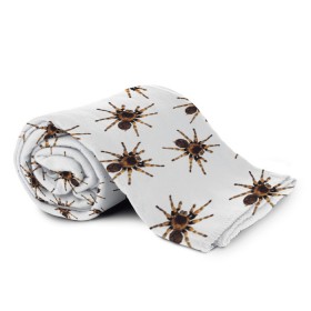 Плед 3D с принтом В пауках в Екатеринбурге, 100% полиэстер | закругленные углы, все края обработаны. Ткань не мнется и не растягивается | pattern | spider | джунгли | дикие | животные | жуки | звери | лапы | мерзкие | монстр | насекомые | паттерн | паук | пауки | паутина | паучок | птицеед | страшный | существа | тараканы | тарантул | тропики