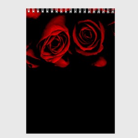 Скетчбук с принтом Готика в Екатеринбурге, 100% бумага
 | 48 листов, плотность листов — 100 г/м2, плотность картонной обложки — 250 г/м2. Листы скреплены сверху удобной пружинной спиралью | black | flowers | red | rose | rozario | vampire | алые | бутоны | вампир | винтаж | готический | красныерозы | кровь | лепестки | летний | лето | ночь | природа | растения | роза | розочка | розы | рок | темный | узор
