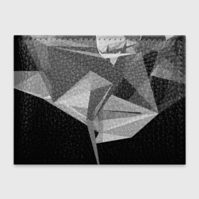 Обложка для студенческого билета с принтом Camo   Black  White в Екатеринбурге, натуральная кожа | Размер: 11*8 см; Печать на всей внешней стороне | abstract | abstraction | color | geometry | polygon | polygonal | абстракция | геометрия | полигоны | психоделика