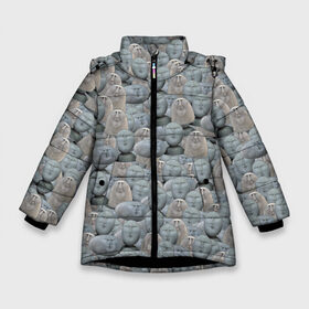 Зимняя куртка для девочек 3D с принтом Каменные лица 3D МЕМ 2020 в Екатеринбурге, ткань верха — 100% полиэстер; подклад — 100% полиэстер, утеплитель — 100% полиэстер. | длина ниже бедра, удлиненная спинка, воротник стойка и отстегивающийся капюшон. Есть боковые карманы с листочкой на кнопках, утяжки по низу изделия и внутренний карман на молнии. 

Предусмотрены светоотражающий принт на спинке, радужный светоотражающий элемент на пуллере молнии и на резинке для утяжки. | Тематика изображения на принте: my stone. | каменные лица | камни с человеческими лицами | мем