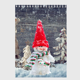 Скетчбук с принтом Снеговик, Новогодняя в Екатеринбурге, 100% бумага
 | 48 листов, плотность листов — 100 г/м2, плотность картонной обложки — 250 г/м2. Листы скреплены сверху удобной пружинной спиралью | ёлки | красный | новый год | снег | снеговик
