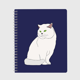 Тетрадь с принтом Белый британский котик в Екатеринбурге, 100% бумага | 48 листов, плотность листов — 60 г/м2, плотность картонной обложки — 250 г/м2. Листы скреплены сбоку удобной пружинной спиралью. Уголки страниц и обложки скругленные. Цвет линий — светло-серый
 | Тематика изображения на принте: cat | cute | kitten | meow | британец | британский | взгляд | друзья | животные | зверек | зверюшки | каваи | киска | котенок | котик | коты | котята | кошак | кошечки | кошки | лапы | милые | мордочка | мяу | няшные