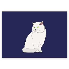 Поздравительная открытка с принтом Белый британский котик в Екатеринбурге, 100% бумага | плотность бумаги 280 г/м2, матовая, на обратной стороне линовка и место для марки
 | Тематика изображения на принте: cat | cute | kitten | meow | британец | британский | взгляд | друзья | животные | зверек | зверюшки | каваи | киска | котенок | котик | коты | котята | кошак | кошечки | кошки | лапы | милые | мордочка | мяу | няшные