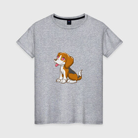 Женская футболка хлопок с принтом Бигль (Z) в Екатеринбурге, 100% хлопок | прямой крой, круглый вырез горловины, длина до линии бедер, слегка спущенное плечо | beagle | dog | doggie | doggy | арт | друг человека | другу | животные | картинка | кинолог | лабрадор | мохнатый | пес | пёсель | пёсик | подарок | подруге | рисунок | собака | собакен | собаки | собачка | собачнику