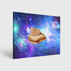 Холст прямоугольный с принтом Кот в космосе в Екатеринбурге, 100% ПВХ |  | Тематика изображения на принте: cat | cats | space | бутерброд | грозовой кошак | джем | киса | киска | космос | кошак | кошка