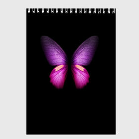 Скетчбук с принтом Butterfly в Екатеринбурге, 100% бумага
 | 48 листов, плотность листов — 100 г/м2, плотность картонной обложки — 250 г/м2. Листы скреплены сверху удобной пружинной спиралью | butterfly | арт | бабочка | крылья | насекомые | фауна