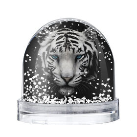Снежный шар с принтом Белый Тигр в Екатеринбурге, Пластик | Изображение внутри шара печатается на глянцевой фотобумаге с двух сторон | tiger | животное | тигр | тигрица | чернобелый