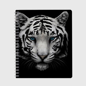 Тетрадь с принтом Белый Тигр в Екатеринбурге, 100% бумага | 48 листов, плотность листов — 60 г/м2, плотность картонной обложки — 250 г/м2. Листы скреплены сбоку удобной пружинной спиралью. Уголки страниц и обложки скругленные. Цвет линий — светло-серый
 | Тематика изображения на принте: tiger | животное | тигр | тигрица | чернобелый