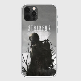 Чехол для iPhone 12 Pro Max с принтом STALKER 2 в Екатеринбурге, Силикон |  | chernobyl | post apocalypse | pripyat | shooter | stalker | survival | zone | авария | мутанты | постапокалипсис | припять | сталкер | чернобыль | шутер