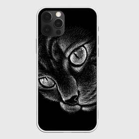 Чехол для iPhone 12 Pro Max с принтом Волшебный кот в Екатеринбурге, Силикон |  | black | cat | eyes | kitten | kitty | pussy | pussycat | взгляд | глаз | глаза | кот | кота | котенок | коты | котят | котята | котячьи | кошачьи | кошка | кошки | мордочка | нос | носик | с котом | усатый | усики | усища | усищи | че