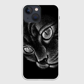 Чехол для iPhone 13 mini с принтом Волшебный кот в Екатеринбурге,  |  | black | cat | eyes | kitten | kitty | pussy | pussycat | взгляд | глаз | глаза | кот | кота | котенок | коты | котят | котята | котячьи | кошачьи | кошка | кошки | мордочка | нос | носик | с котом | усатый | усики | усища | усищи | че