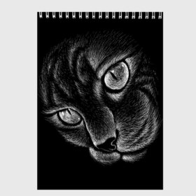Скетчбук с принтом Волшебный кот в Екатеринбурге, 100% бумага
 | 48 листов, плотность листов — 100 г/м2, плотность картонной обложки — 250 г/м2. Листы скреплены сверху удобной пружинной спиралью | black | cat | eyes | kitten | kitty | pussy | pussycat | взгляд | глаз | глаза | кот | кота | котенок | коты | котят | котята | котячьи | кошачьи | кошка | кошки | мордочка | нос | носик | с котом | усатый | усики | усища | усищи | че