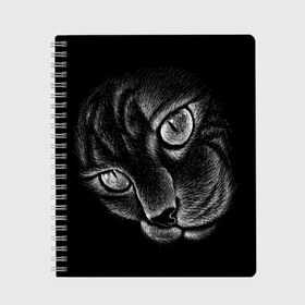 Тетрадь с принтом Волшебный кот в Екатеринбурге, 100% бумага | 48 листов, плотность листов — 60 г/м2, плотность картонной обложки — 250 г/м2. Листы скреплены сбоку удобной пружинной спиралью. Уголки страниц и обложки скругленные. Цвет линий — светло-серый
 | Тематика изображения на принте: black | cat | eyes | kitten | kitty | pussy | pussycat | взгляд | глаз | глаза | кот | кота | котенок | коты | котят | котята | котячьи | кошачьи | кошка | кошки | мордочка | нос | носик | с котом | усатый | усики | усища | усищи | че