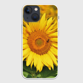 Чехол для iPhone 13 mini с принтом Подсолнух в Екатеринбурге,  |  | подсолнух | подсолнухи | природа | растение | растения | флора | фотография | цвет | цветами | цветов | цветок | цветочек | цветочки | цветочные | цветочный | цветы