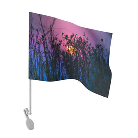 Флаг для автомобиля с принтом Трава растения закатный свет в Екатеринбурге, 100% полиэстер | Размер: 30*21 см | вечер | закат | мило | небо | поле | рассвет | растения | свет | сумерки | сухоцвет