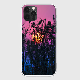 Чехол для iPhone 12 Pro с принтом Трава растения закатный свет в Екатеринбурге, силикон | область печати: задняя сторона чехла, без боковых панелей | вечер | закат | мило | небо | поле | рассвет | растения | свет | сумерки | сухоцвет