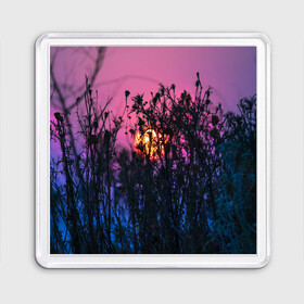 Магнит 55*55 с принтом Трава растения закатный свет в Екатеринбурге, Пластик | Размер: 65*65 мм; Размер печати: 55*55 мм | вечер | закат | мило | небо | поле | рассвет | растения | свет | сумерки | сухоцвет